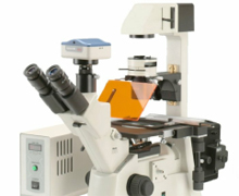 میکروسکوپ فلورسنت
